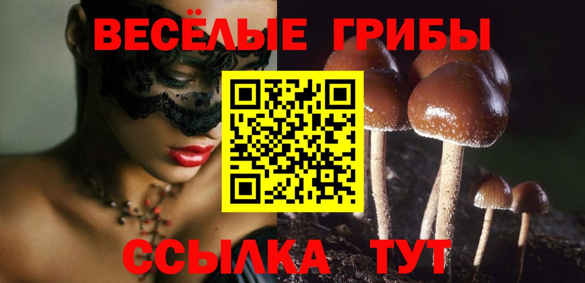 Галлюциногенные грибы Psilocybine cubensis  Вход с VPN  Березники 